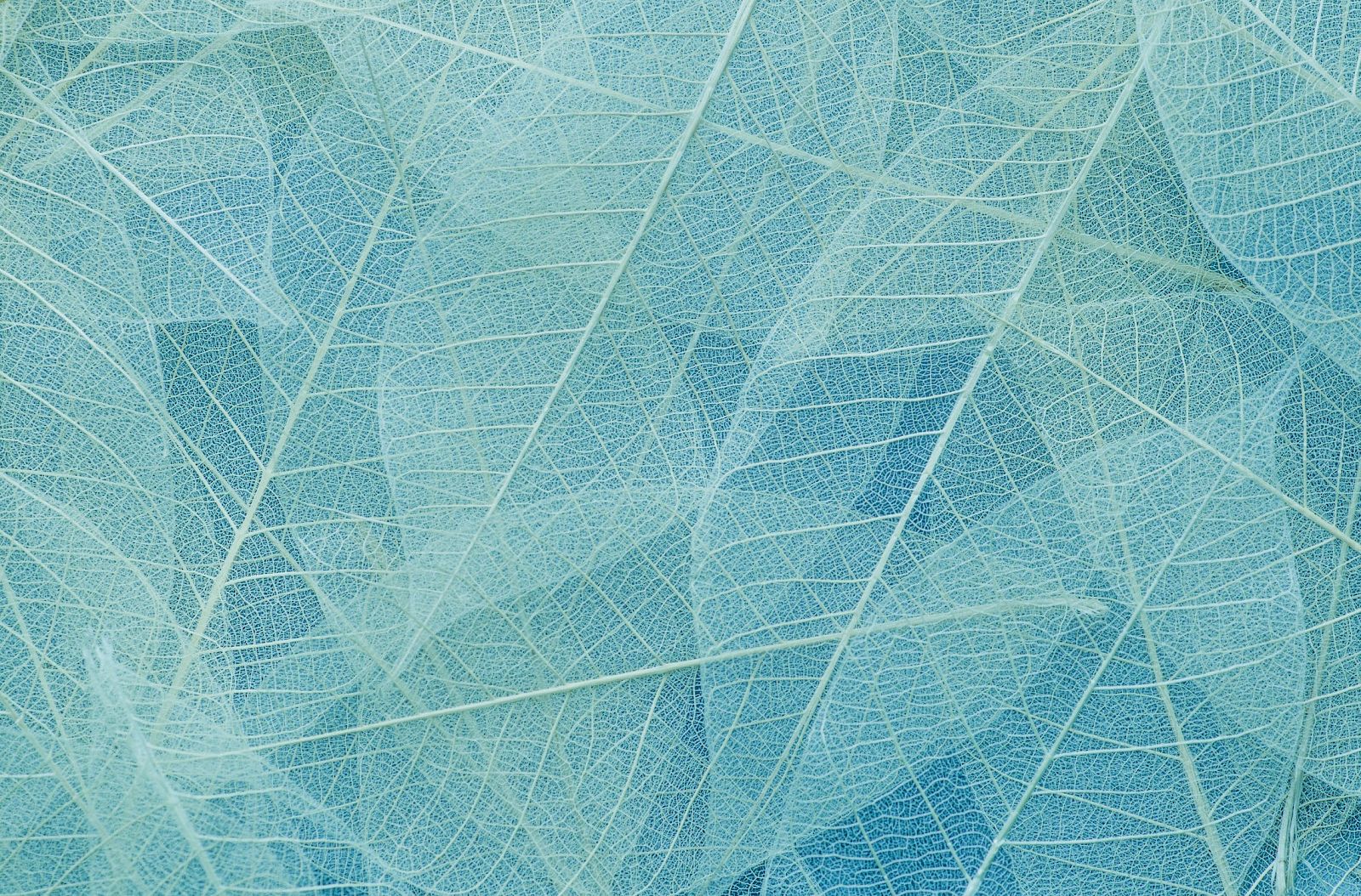 Close-up of a teal fabric or netting covered in intersecting white strands, forming a dense web-like pattern.