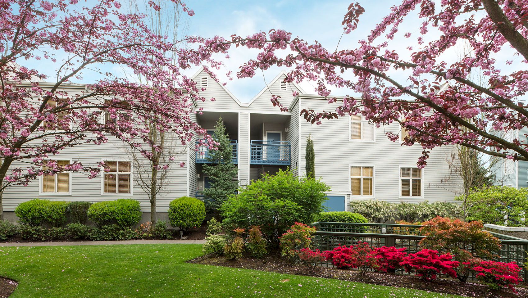A white apartment building is framed by pink spring blossoms and landscaped gardens with shrubs and red flowers.