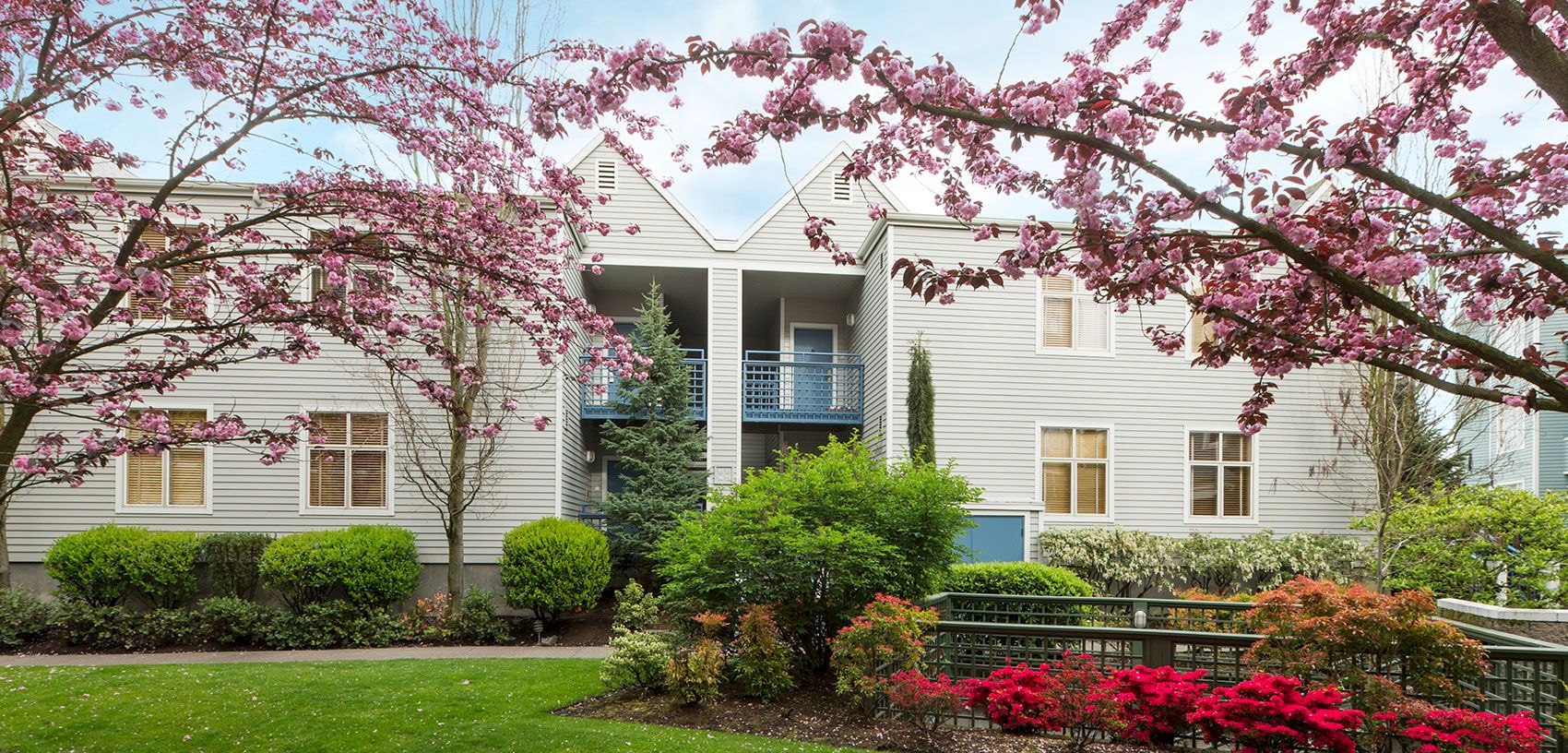 A white apartment building is framed by pink spring blossoms and landscaped gardens with shrubs and red flowers.