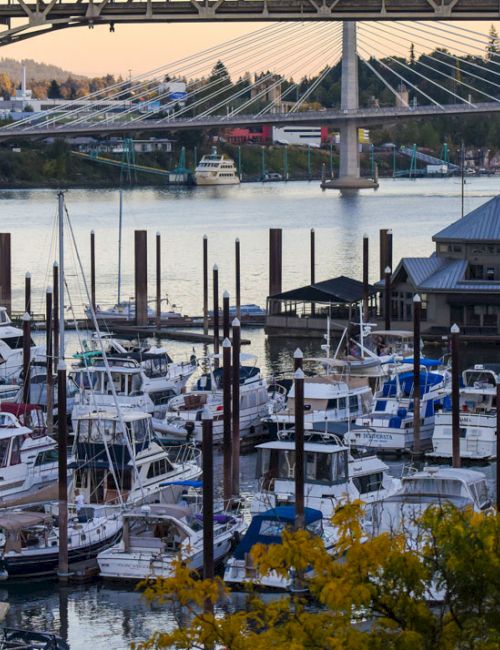 A marina packed with sailboats and yachts sits on a river beneath a large bridge in the golden hour.