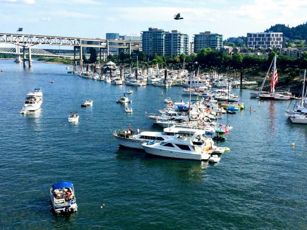 A busy harbor marina with many yachts moored along a river, a bridge, nearby buildings, and trees under a blue sky.