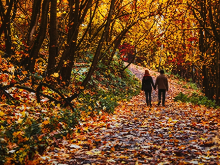 Two people walk along a winding path in a vibrant autumn forest, carpeted with colorful fallen leaves.
