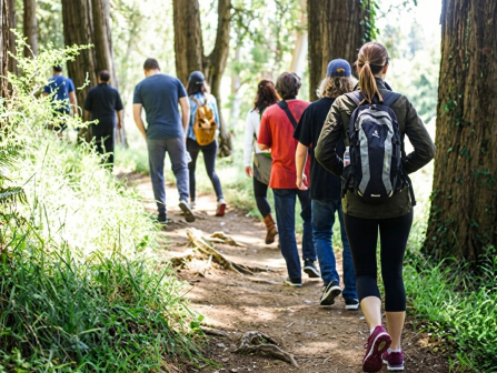 A group of hikers walks along a forest path among tall trees, wearing backpacks and casual outdoor clothing.