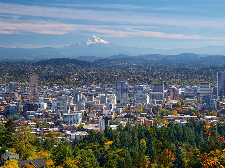 A wide aerial view of a city with autumn trees and a snow-capped mountain in the distance.