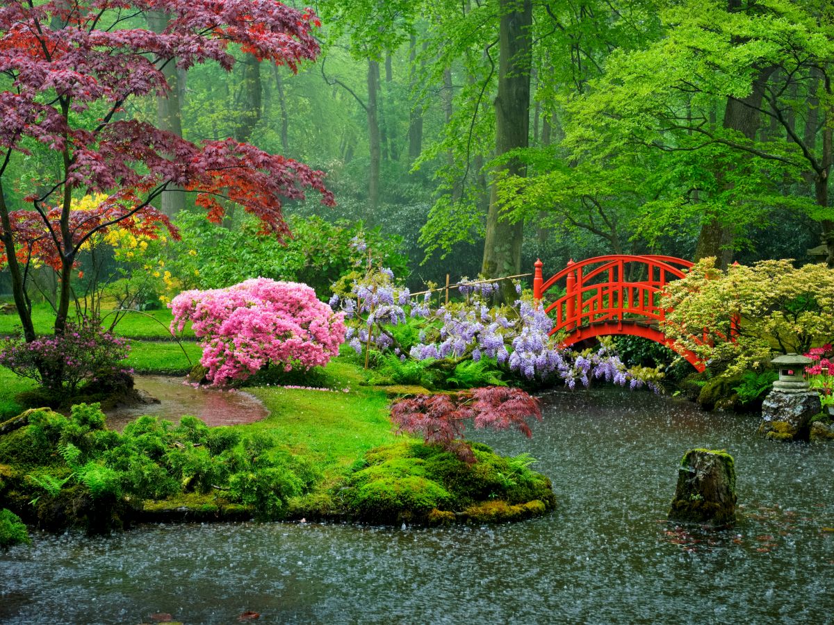 A lush spring garden with blooming trees, a red arched bridge over a pond, and vibrant greenery in the background.