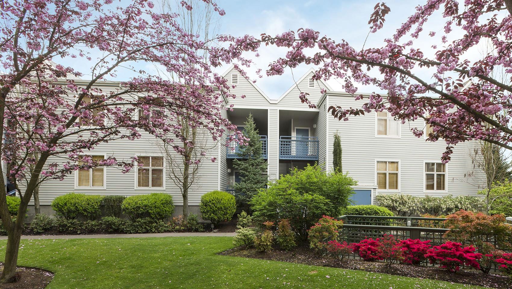 A white two-story house surrounded by lush greenery and pink cherry blossoms, with a bright spring garden and patio railing.