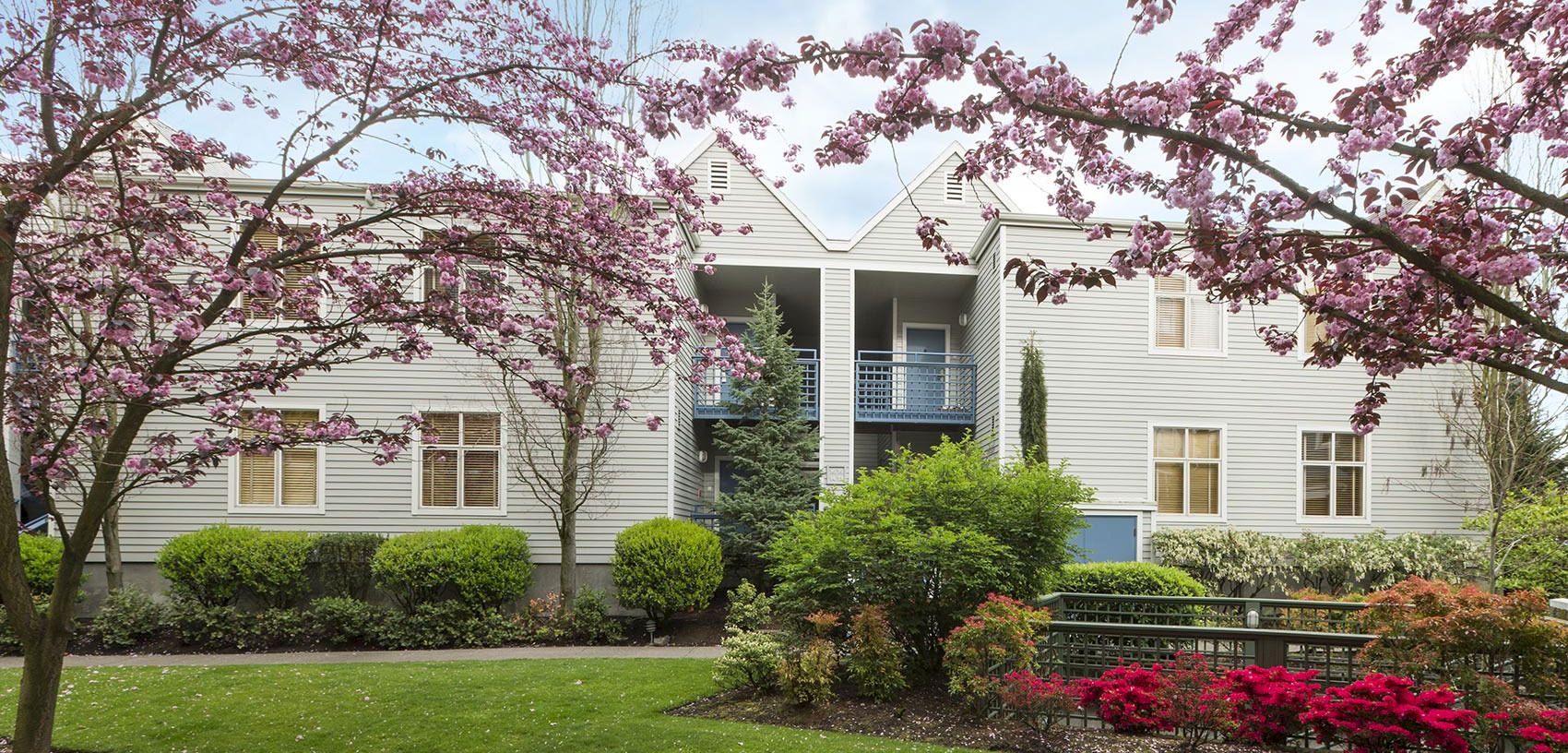 A white two-story house surrounded by lush greenery and pink cherry blossoms, with a bright spring garden and patio railing.