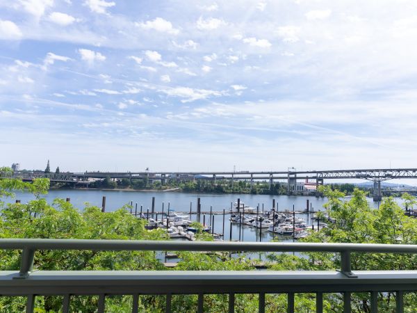 A wide riverfront marina lies beneath a long steel bridge, with boats moored in calm water under a bright cloudy sky.